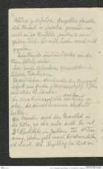 Seite 2, Eingelegter Bogen, Beilage 1 zu "NW-Waldviertel : Nagelberg" (NHMW-PRAE-BBB-23-Beilage-1)